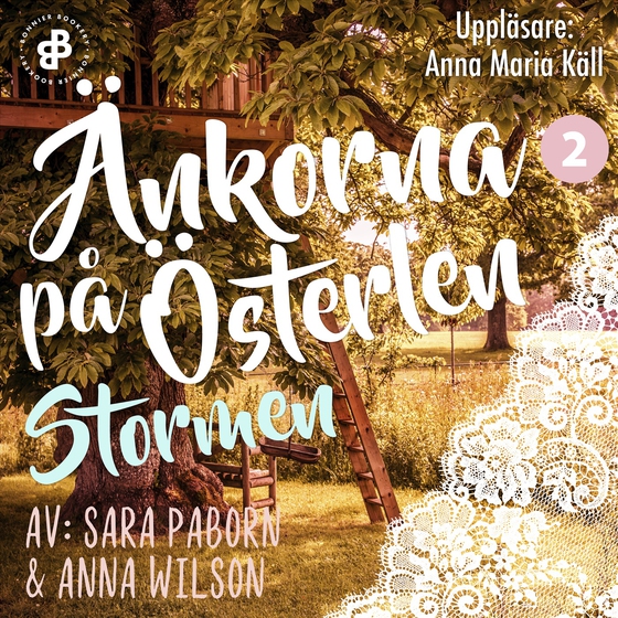 Änkorna på Österlen. Stormen (ljudbok) av Sara Paborn