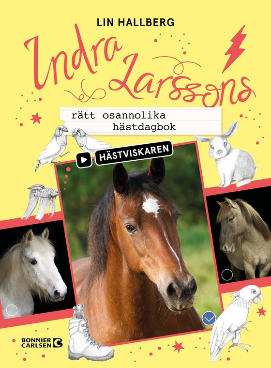 Indra Larssons rätt osannolika hästdagbok (e-bok) av Lin Hallberg