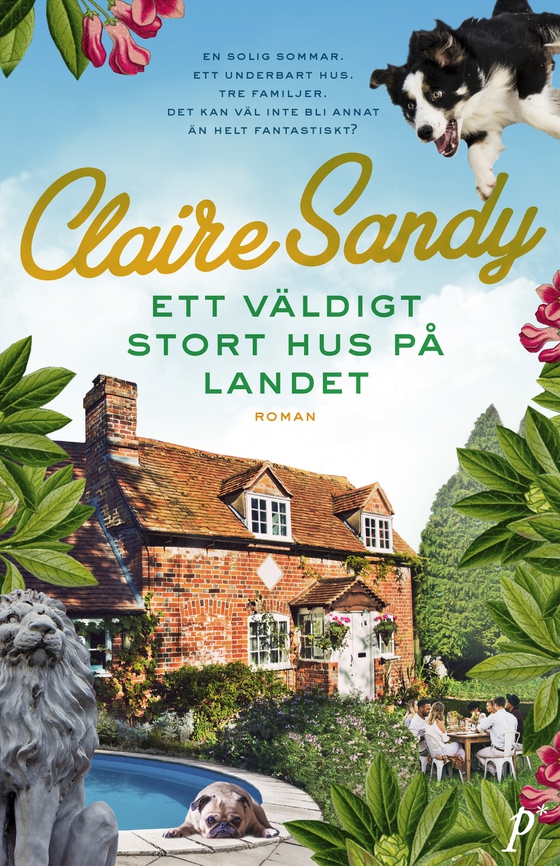 Ett väldigt stort hus på landet (e-bok) av Claire Sandy