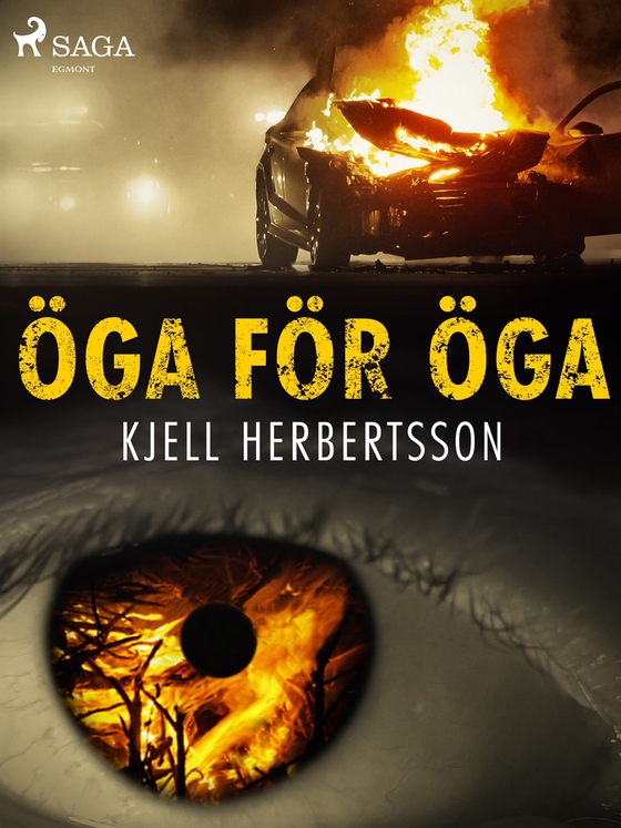 Öga för öga