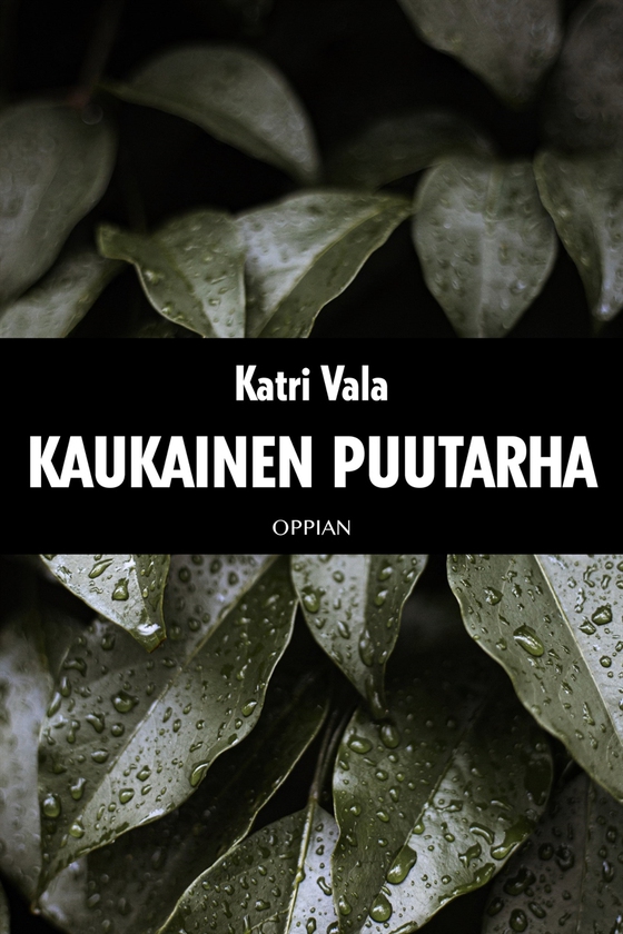 Kaukainen puutarha