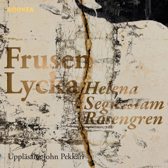 Frusen lycka (ljudbok) av Helena Rosengren