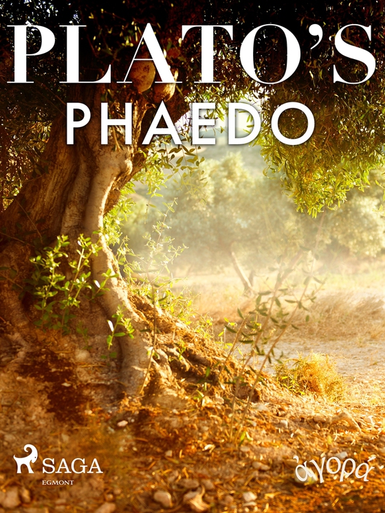 Plato’s Phaedo