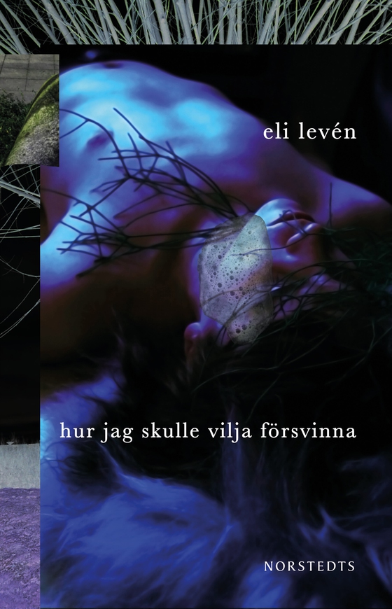 Hur jag skulle vilja försvinna (e-bok) av Eli Levén