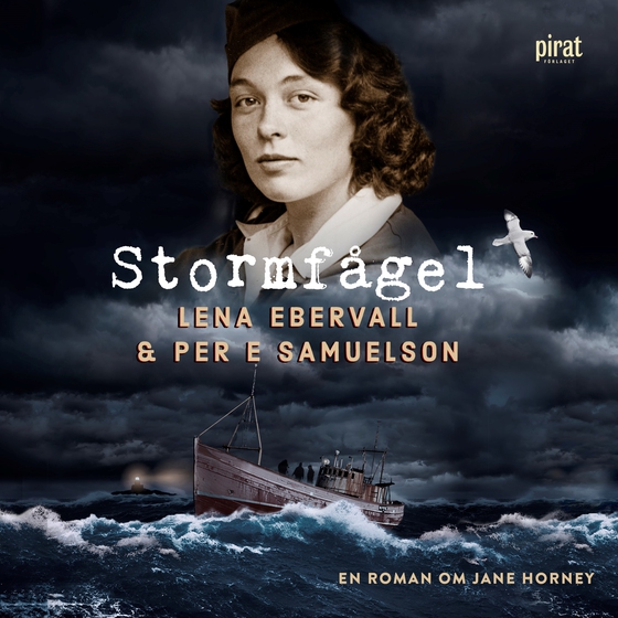Stormfågel (ljudbok) av Ebervall & Samuelson 