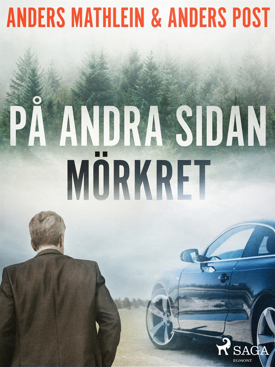 På andra sidan mörkret (e-bok) av Anders Mathlein