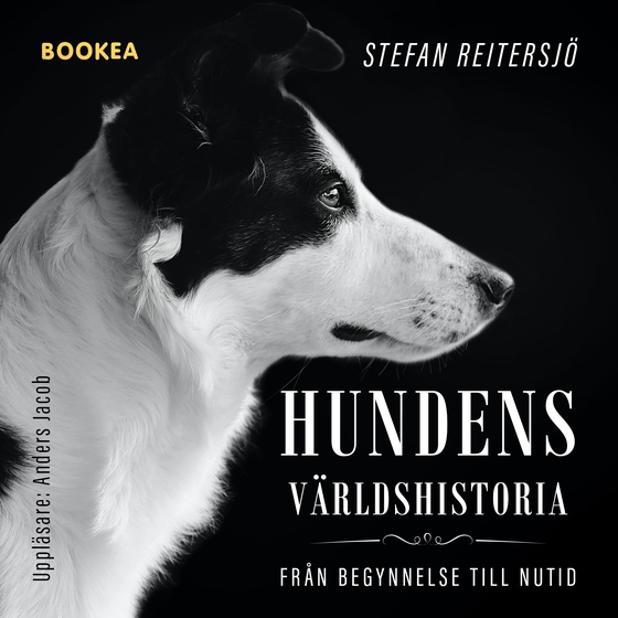 Hundens världshistoria (ljudbok) av Stefan Reitersjö
