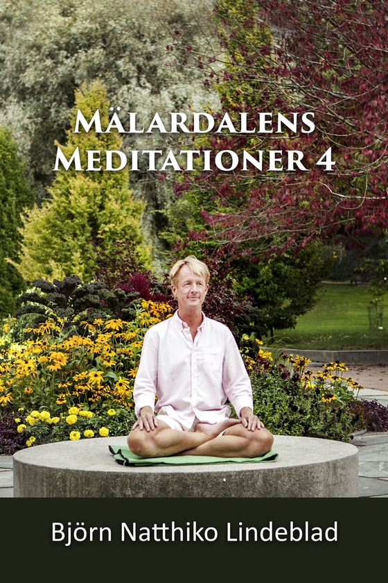 Mälardalens Meditationer 4