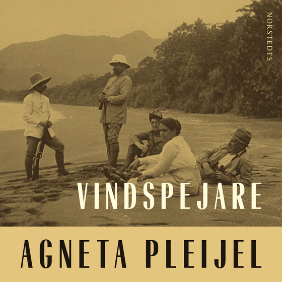 Vindspejare : boken om Abel målaren (ljudbok) av Agneta Pleijel