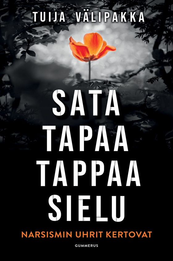 Sata tapaa tappaa sielu (e-bok) av Tuija Välipakka