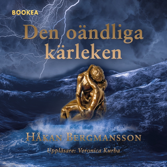 Den oändliga kärleken (ljudbok) av Håkan Bergmansson