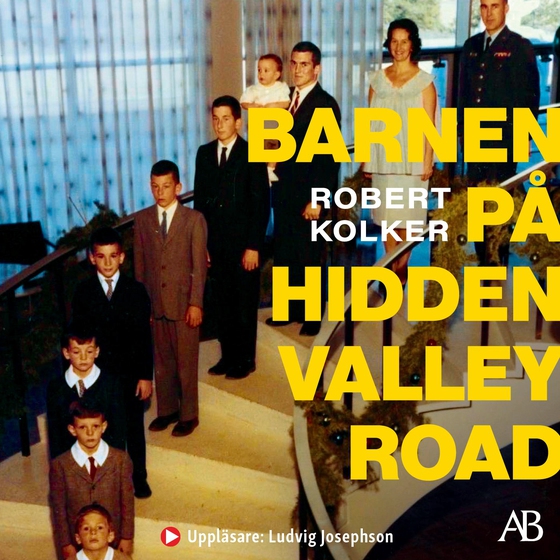 Barnen på Hidden Valley Road (ljudbok) av Robert Kolker