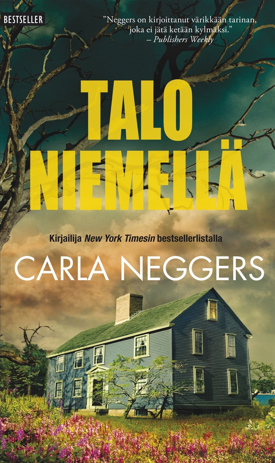 Talo niemellä