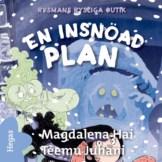 En insnöad plan
