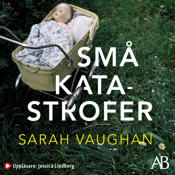 Små katastrofer
