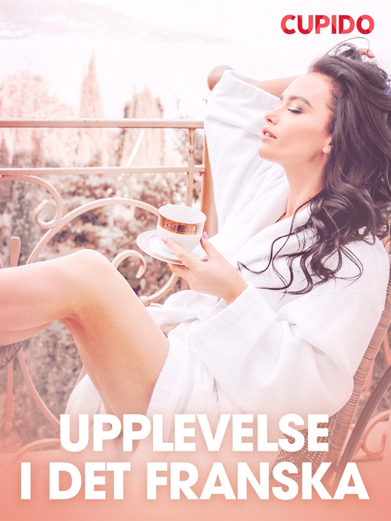 Upplevelse i det franska - erotiska noveller (e-bok) av Cupido 