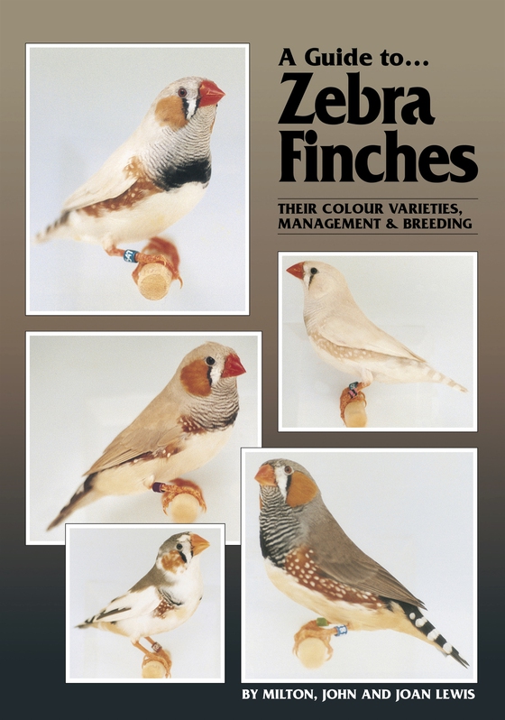 A Guide to Zebra Finches, their Colour Varieties, Management and Breeding