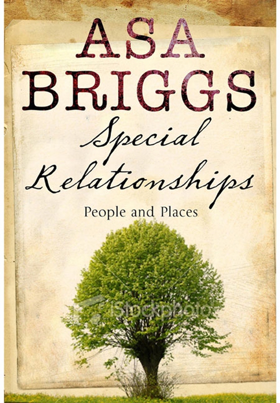 Special Relationships (e-bok) av Asa Briggs