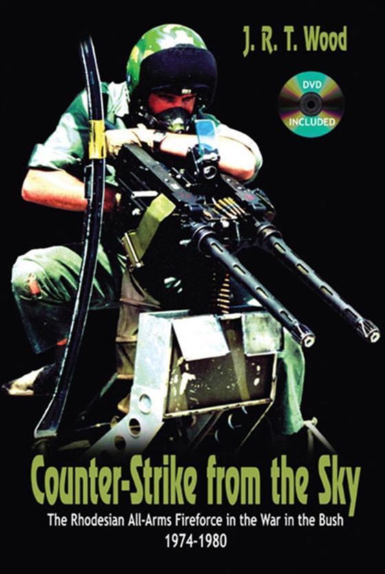 Counter-Strike From the Sky