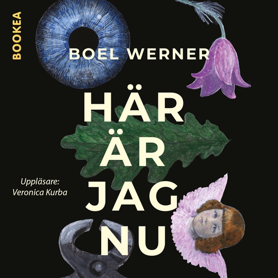 Här är jag nu (ljudbok) av Boel Werner