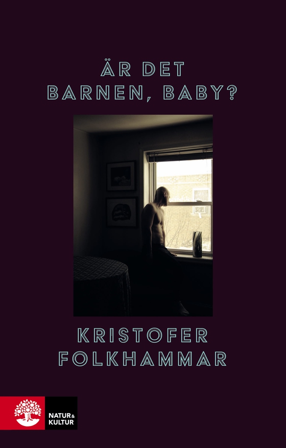 Är det barnen, baby? (e-bok) av Kristofer Folkhammar