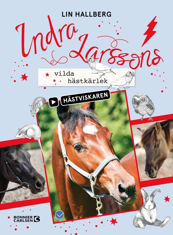 Indra Larssons vilda hästkärlek (e-bok) av Lin Hallberg