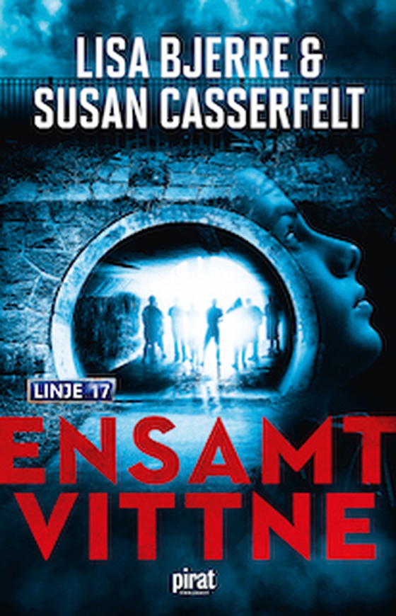 Ensamt vittne (e-bok) av Susan Casserfelt