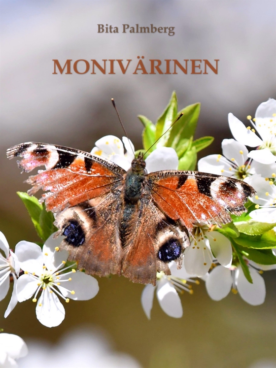 Monivärinen: Polkuani pitkin