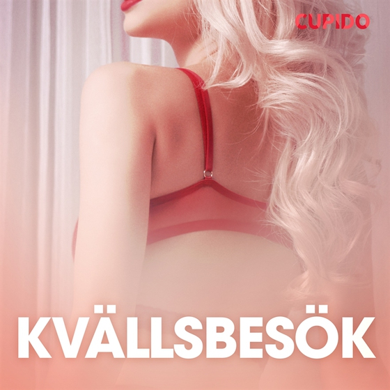 Kvällsbesök - erotiska noveller (ljudbok) av Cupido 