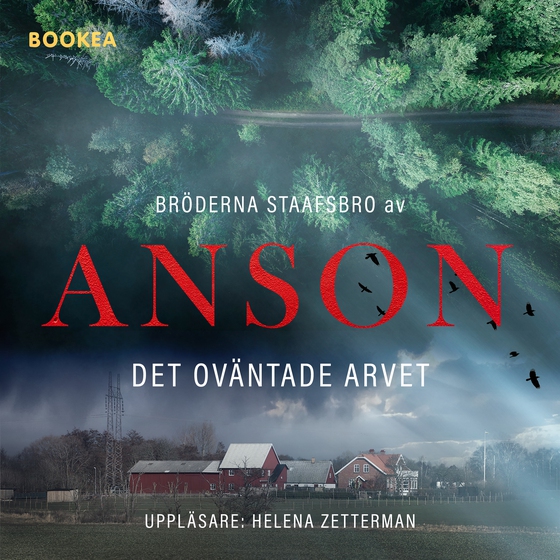 Bröderna Staafsbro: Det oväntade arvet (ljudbok) av Anson 