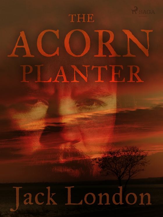 The Acorn Planter