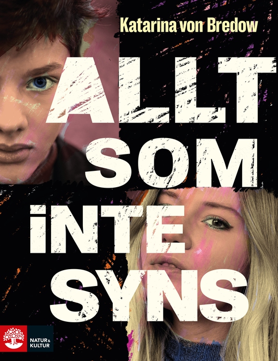 Allt som inte syns (e-bok) av Katarina von Bredow