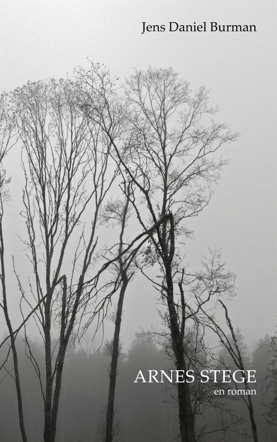 Arnes stege: Roman (e-bok) av Jens Daniel Burman