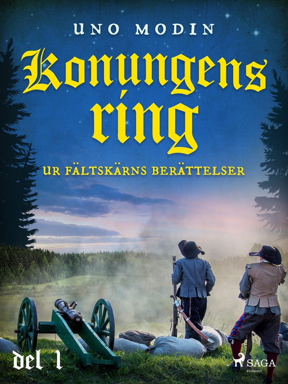 Konungens ring : ur Fältskärns berättelser, del 1.