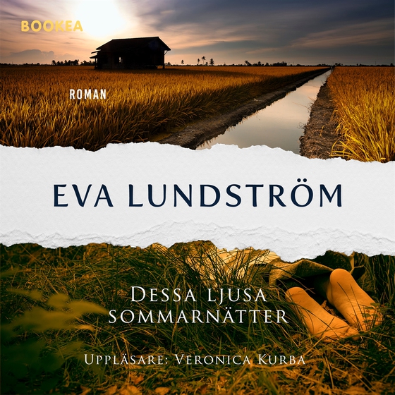 Dessa ljusa sommarnätter (ljudbok) av Eva Lundström