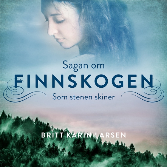 Som stenen skiner
