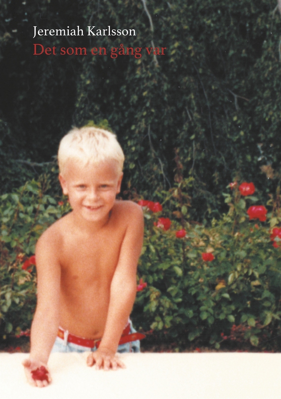 Det som en gång var: Lyrik (e-bok) av Jeremiah Karlsson