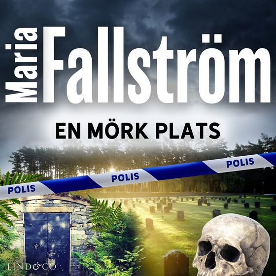 En mörk plats 