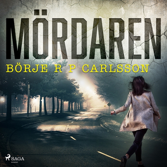 Mördaren (ljudbok) av Börje R P Carlsson