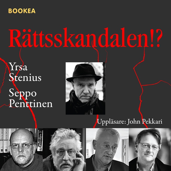 Rättsskandalen!? (ljudbok) av Yrsa Stenius
