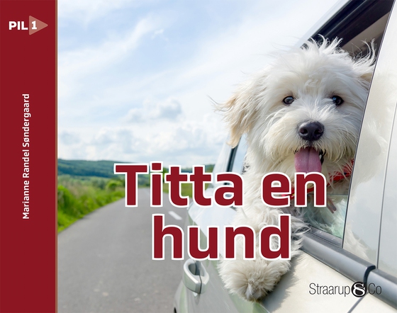 Titta en hund