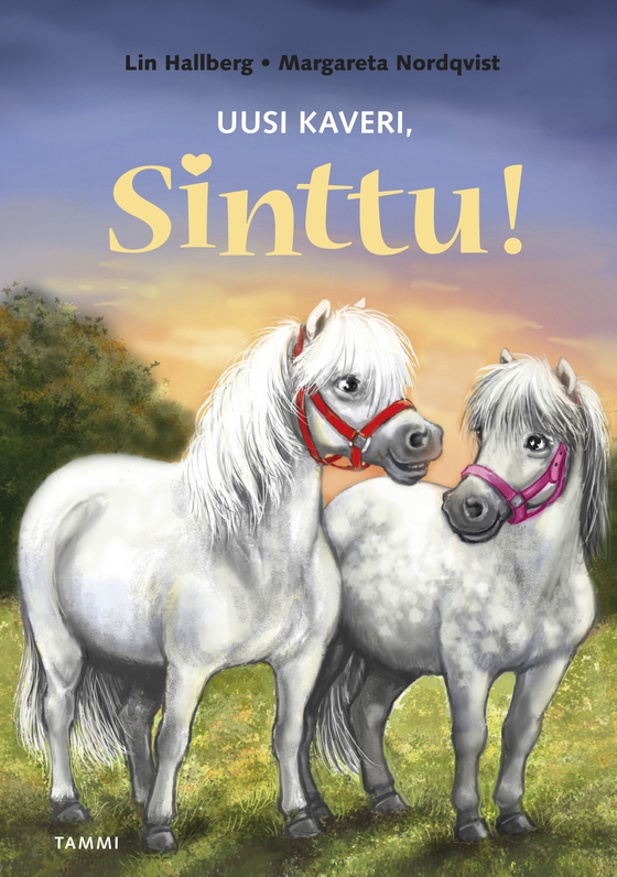 Uusi kaveri, Sinttu!