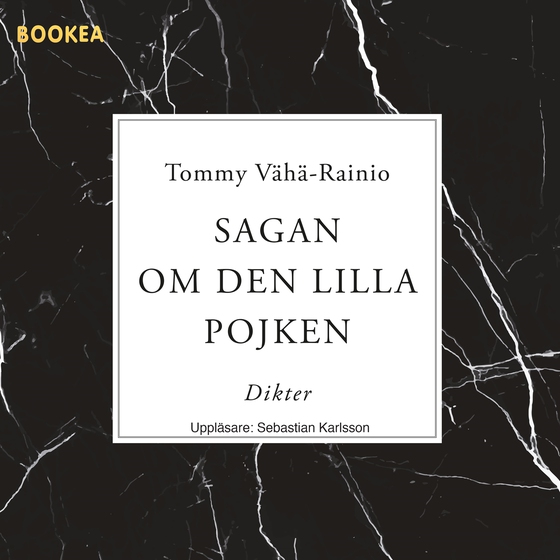 Sagan om den lilla pojken (ljudbok) av Tommy Vähä-Rainio