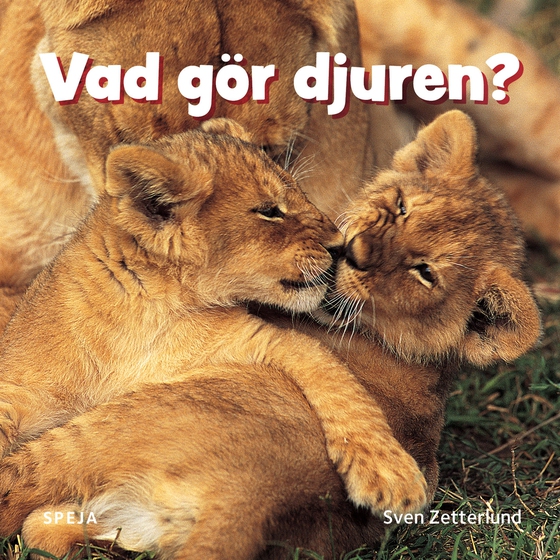 Vad gör djuren?