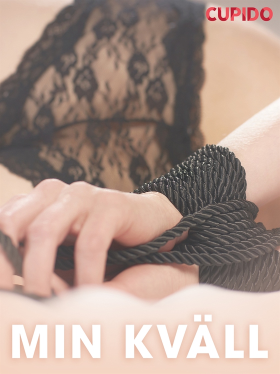 Min kväll - erotiska noveller