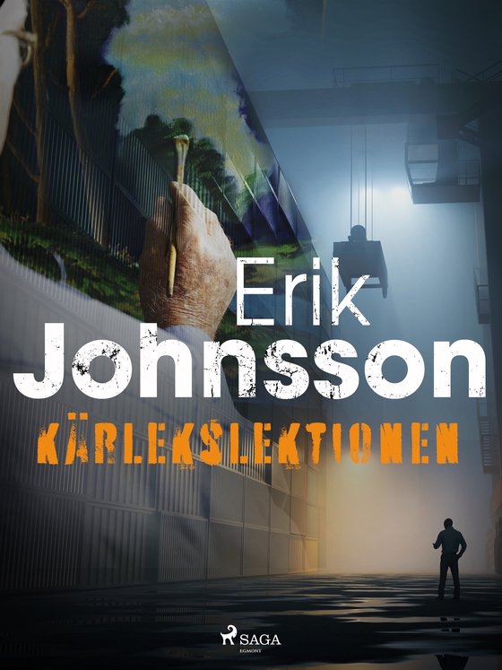 Kärlekslektionen