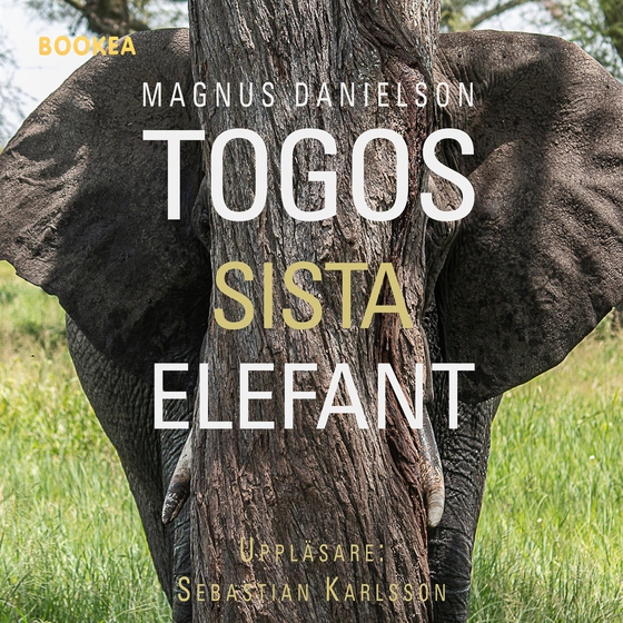 Togos sista elefant