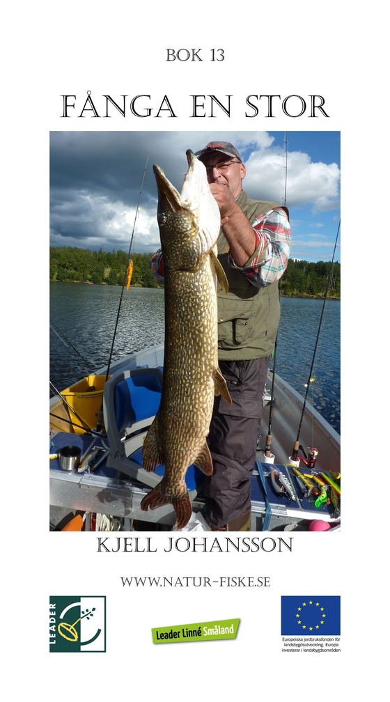 Fånga en Stor