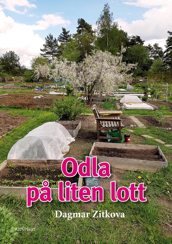 Odla på liten lott