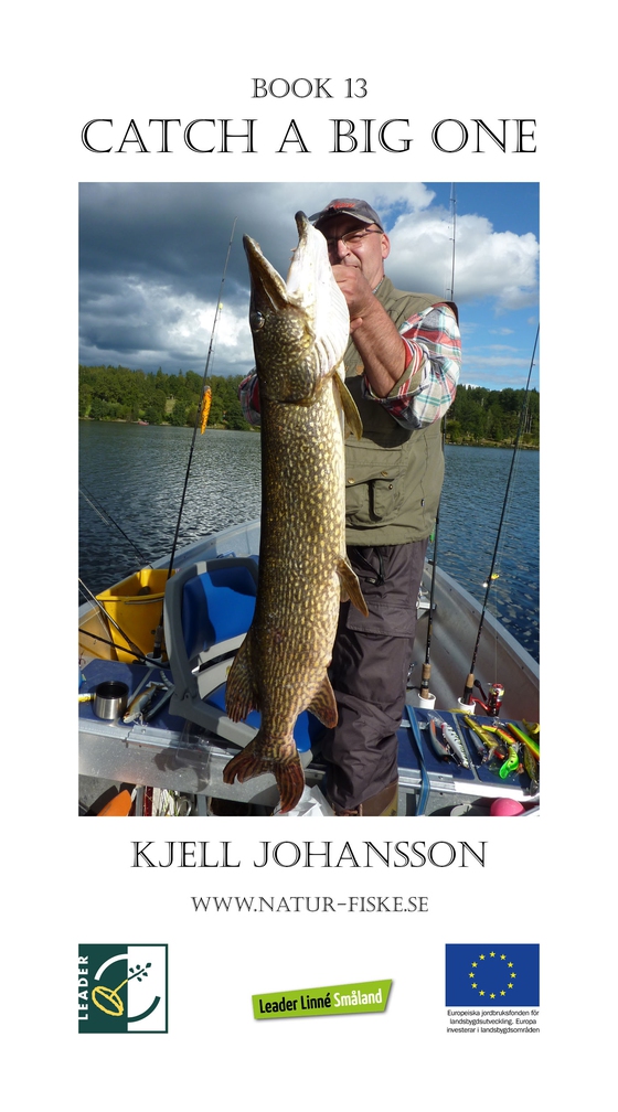 Catch a Big One